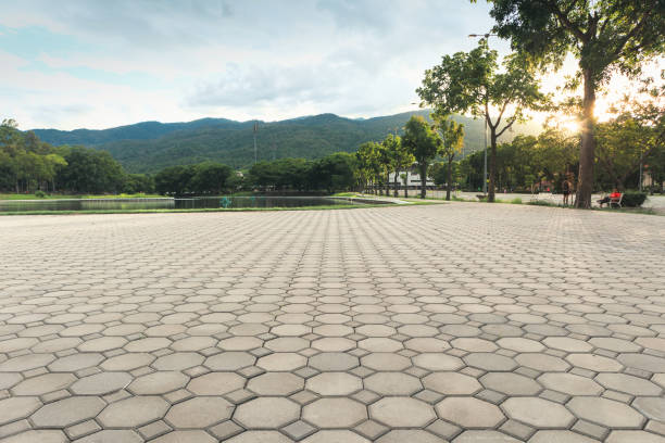 Best Best Driveway Pavers  in Hico, TX